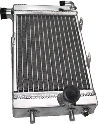 Image de Radiateur à eau droit pour Aprilia Mille Tuono RST RSV SL 1000