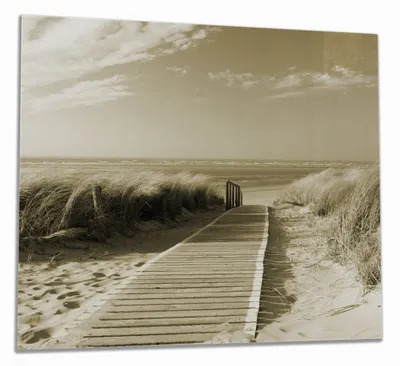 Produktbild von Wallario Herdabdeckplatte aus Glas, Größe 60 x 52 cm 1-teilig, Motiv Auf dem Holzweg zum Strand in Sepiafarben