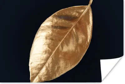 Produktbild von MuchoWow® Poster Blätter - Schwarz und Gold - Luxus - Natur - Pflanzen 120x80 cm - Bilder