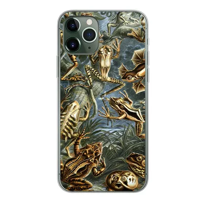 Produktbild von MuchoWow® Handyhülle Schutzhülle Hülle für iPhone 11 Pro Batrachia - Haeckel - Alte Meister Silikon Softcase Handy Hülle - Handy