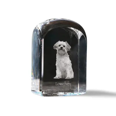 Immagine prodotto di Lowchen cristallo sigillo sigillo con cane Art-Dog