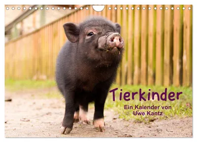 Produktbild von Tierkinder (Wandkalender 2027 DIN A4 quer), CALVENDO Monatskalender