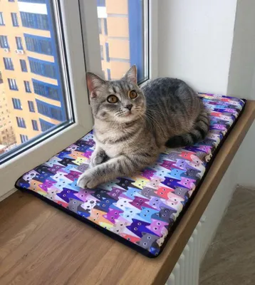 Obrázok produktu pre Mačací vankúš na parapet 55 x 25 cm Mačacie lôžko vodotesné, pohodlné, s 2 samolepiacimi pásikmi, Meow
