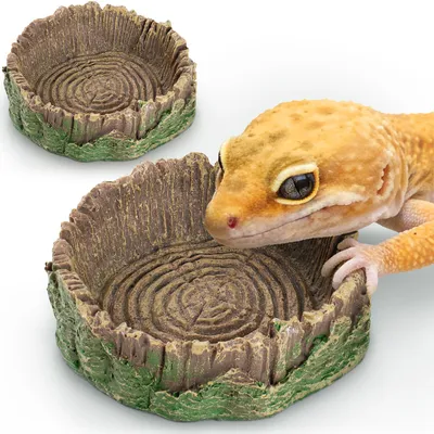 Productafbeelding van terrarium accessoires reptielen voederschaal gekko waterschaal