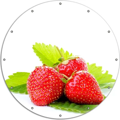 Produktbild von Wallario rundes Outdoor-Poster für Garten oder Balkon, Motiv Frische rote Erdbeeren für die Küche, 120 cm Durchmesser