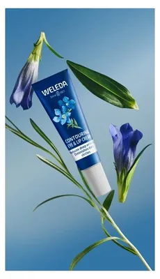 Obrázek produktu pro Weleda 6822CH, Oční krém, Ženy, Proti vráskám, Tuba, 10 ml
