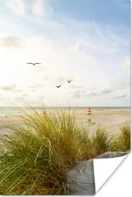 Produktbild von MuchoWow® Poster Strand - Meer - Vögel 60x90 cm - Wanddekoration