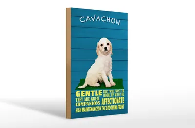 Produktbild von Holzschild Spruch 20x30cm Cavachon Hund gentle affectionat