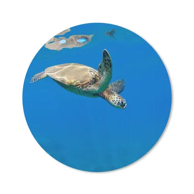 Produktbild von MuchoWow® Mauspad Mousepad Schildkröte schwimmt im Meer 20x20 cm - Mousepads - Maus Mat - Pad - Mausunterlage - Schreibtischmatte
