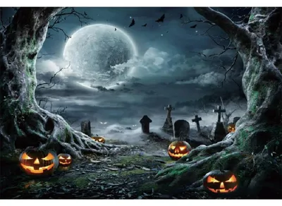 Productafbeelding van Halloween Fotobehang Achtergrond - 10x8ft
