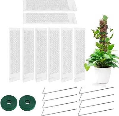 Produktbild von Famanu Pflanzenstütze 38 cm - stapelbare, nachfüllbare Moosstäbe