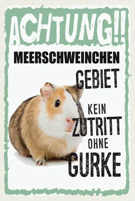 Produktbild von vianmo Holzschild 18x12 cm Tiere Achtung Meerschweinchen