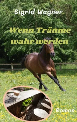 Produktbild von Wenn Träume wahr werden