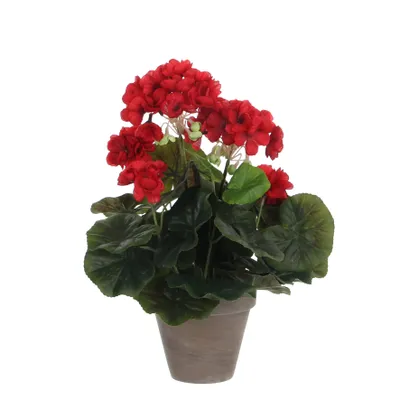 Immagine prodotto di Geranio rosso in pvc con vaso grigio