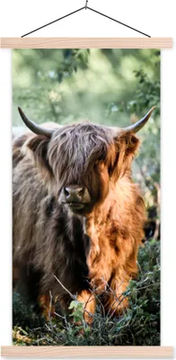 Produktbild von MuchoWow® Textilposter Schottische Hochlandrind - Wald - Tiere 60x120 cm mit holzfarbenen Rahmen - Holz