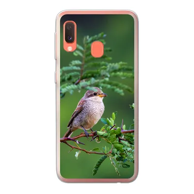 Produktbild von MuchoWow® Handyhülle Schutzhülle Hülle für Samsung Galaxy A20e Vogel - Baum - Wald Silikon Softcase Handy Hülle - Abdeckung