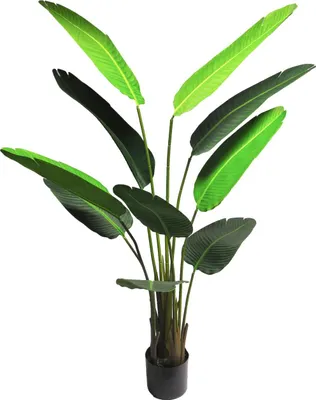 Produktbild von artplants.de Kunstpflanze Strelitzie LUOROU, grün, 160 cm - Künstliche Zimmerpflanze