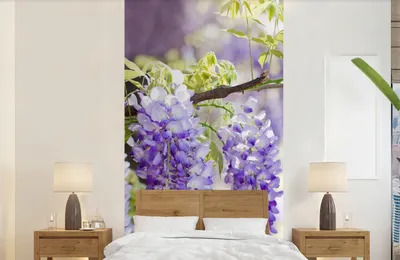 Produktbild von MuchoWow® Fototapete für Wohnzimmer oder Schlafzimmer Wandtapete Vinyl Motivtapete Lila Glyzinie auf einem Zweig - 120x240 cm - Hintergrundbild