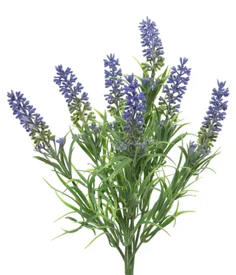 Produktbild von Lavendel Büschel - Kunstblume - Kunstpflanze - H: 34cm - violett
