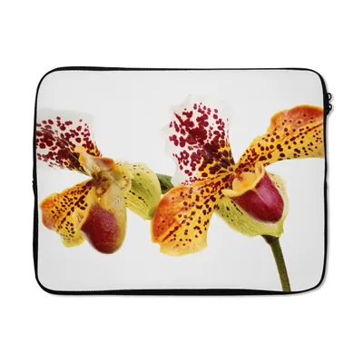 Produktbild von MuchoWow® Laptop Hülle 17 Zoll Laptoptasche Orange Orchidee - Zipper - Schutzabdeckung