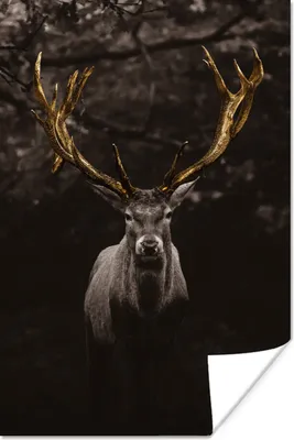 Produktbild von MuchoWow® Poster Hirschgeweih gold 60x90 cm - Wanddekoration