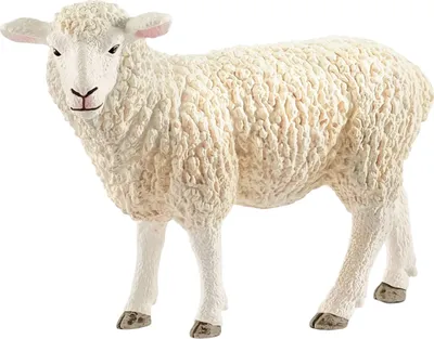 Produktbild von Schleich, Tierfigur Schaf, Weiß