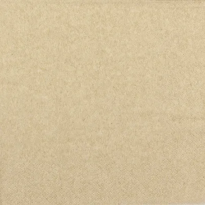 Produktbild von 20 Servietten aus Recycling-Papier Recycling uni - Uni Servietten 33x33cm
