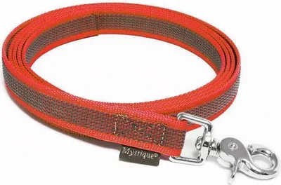Produktbild von Mystique® Gummierte Leine 20mm ohne Handschlaufe Scherenkarabinerhaken rot 2m