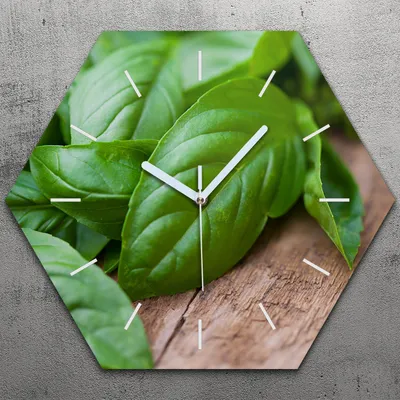 Produktbild von Uhr hexagonal 40 cm Glas Geräuschlos weiße Zeiger - Basilikumblätter