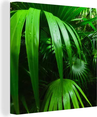 Produktbild von MuchoWow® - Leinwandbilder - Palmenblätter im Dschungel, Wandbild, Wanddeko Bilder Wohnzimmer, 20x20 cm