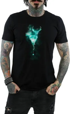 Produktbild von Harry Potter - "Patronus" T-Shirt für Herren BI915 (L) (Schwarz)