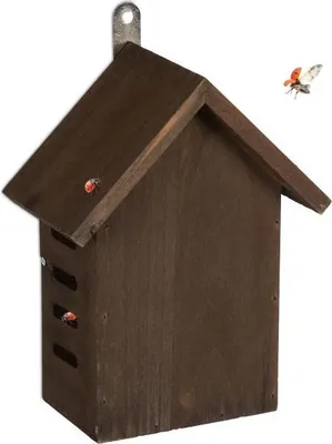 Image de Maison de coccinelle en bois
