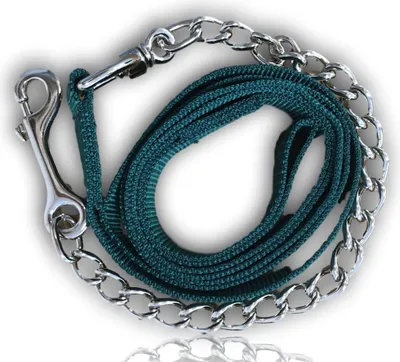 Produktbild von Führkette für Pferde  Eisenkette & Nylon Handgriff, Führleine für Pferd, Pony, Hunde Länge 2,10 m, Farbe grün