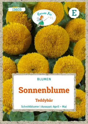 Produktbild von Grüne Fee - Sonnenblume Teddybär Samen - 13603