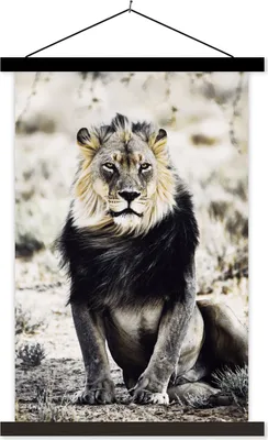 Produktbild von MuchoWow® Textilposter Löwen - Porträt - Farben 40x60 cm mit schwarzem Rahmen - Wanddekorationen