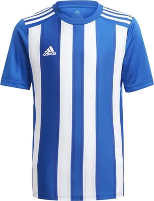 Obrázek produktu pro Adidas Trička Striped 21, GH7323, Velikost: 135