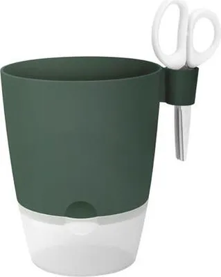 Produktbild von brussels kräuter allin1 13cm  laubgrün