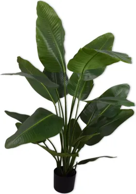 Produktbild von Silk-ka künstliche Zimmerpflanze Strelitzie Grün 150 cm