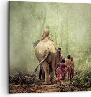 Produktbild von Bild auf Leinwand - Leinwandbild - Elefant Dschungel Nebel - 70x70cm - Wand Bild - Wanddeko - Leinwanddruck - Bilder - Kunstdruck - Wanddekoration - Leinwand bilder - Wandkunst - AC70x70-3438
