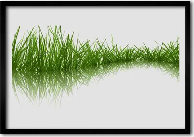Produktbild von Bild 70x50 MDF-Rahmen Wandkunst Gras Natur Pflanze