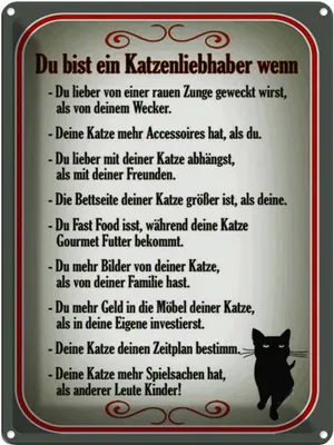 Produktbild von vianmo Blechschild 40x30 cm du bist Katzenliebhaber wenn Katze