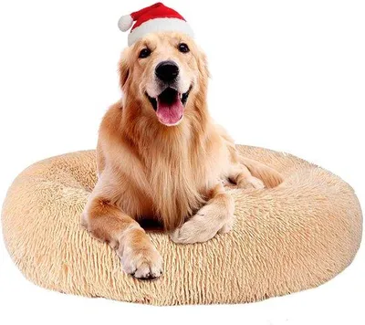 Produktbild von Hauskatzenbett, Hundebett, weich, waschbar, rund, Katzenkissen, Hundebecken, Plüschhaustierbett, Hundekissen, Donut-Hundebett, Katzenbett für Katzen und kleine mittelgroße Hunde (70 cm, Beige)