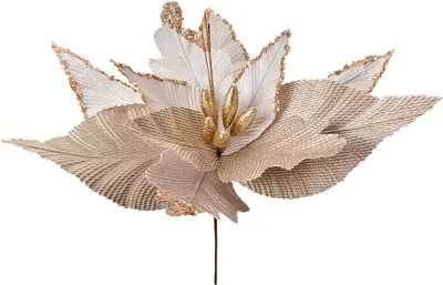 Produktbild von Clayre & Eef Kunstblume Weihnachtsstern Ø 50x62 cm Beige Kunststoff