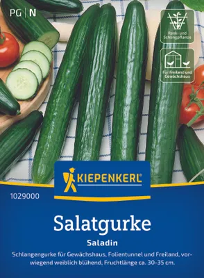 Produktbild von Kiepenkerl Salatgurkensamen Saladin F1 Cucumis sativus 6 Pflanzen