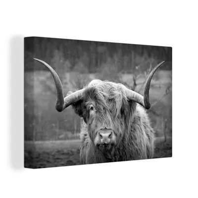 Produktbild von OneMillionCanvasses® - Leinwandbilder - 150x100 cm, Schottisches Hochlandrind - Kuhkopf - Landschaft - Natur - Kuh, Wandbilder Kunstdruck Wanddekoration