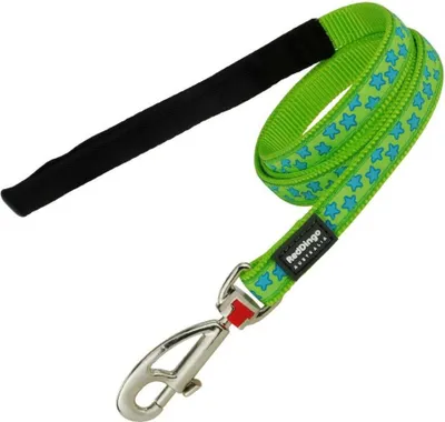 Produktbild von Hundeleine Red Dingo grün 15mm x 120 cm