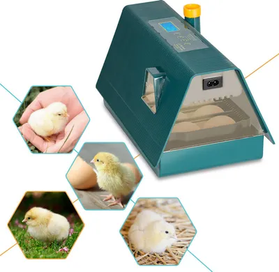 Obrázok produktu pre Inkubátor Clanmacy pre 10 slepačích vajec