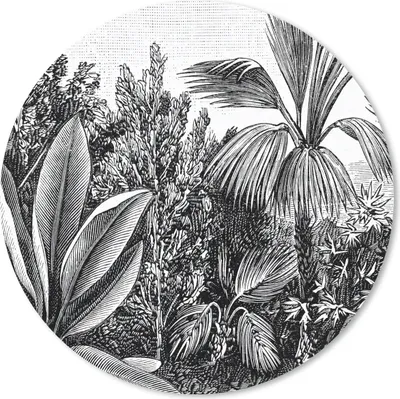 Produktbild von MuchoWow® Mauspad Mousepad Pflanzen - Natur - Gestaltung - Illustration - Ernst Haeckel 40x40 cm - Mousepads - Maus Mat - Pad - Mausunterlage - Schreibtisch Accessoires