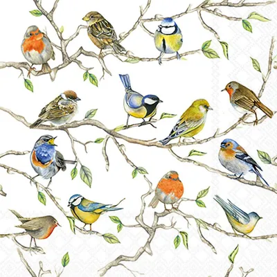 Produktbild von Servietten 25x25 cm - Birds meeting