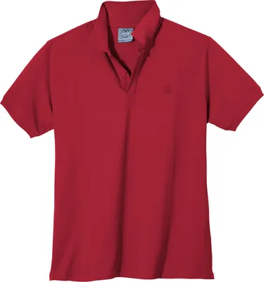 Produktbild von Ahorn Sportswear Poloshirt Übergrößen rot
